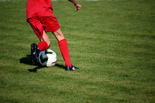 米兰体育-中国篮球青训教练员能力提升路径及培训体系，全国篮球教练员岗位培训  第2张