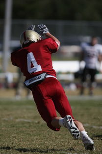 米兰官方网站-法甲球队防守战术调整后定位球防守成功率提升分析,法国防守 第1张 米兰官方网站-法甲球队防守战术调整后定位球防守成功率提升分析,法国防守 第1张